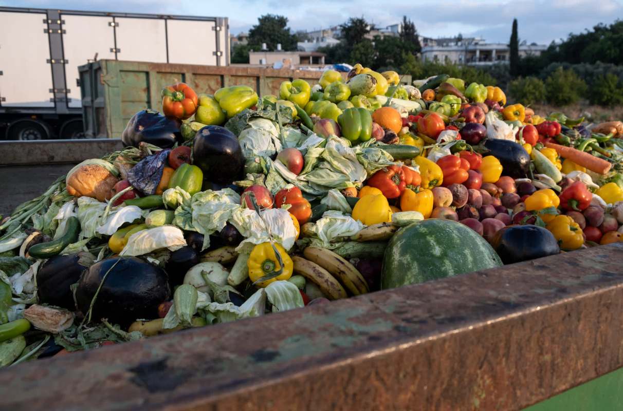 They can accept meat, bones, dairy, and spoiled food — items not suited for backyard composting.
