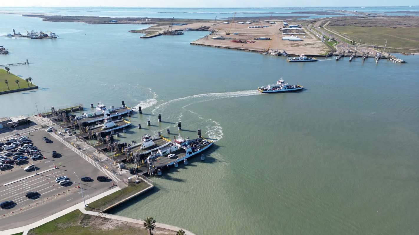 Officials announced that the animal seemed healthy and calm.