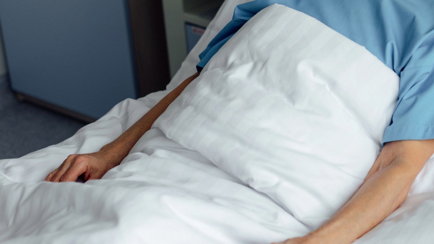 "Mosquitoes and ticks didn't used to carry disease."