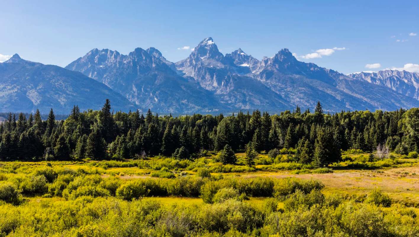 "Teaching the next generation."