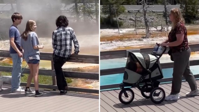 "It's the … rule for a reason!"