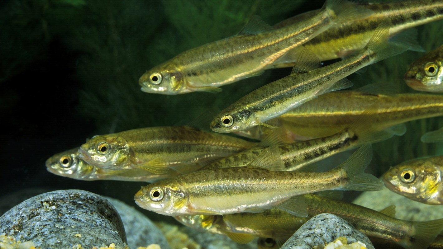 The results are clear.