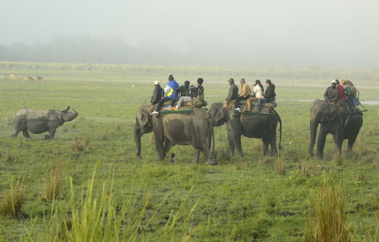 The study urged caution for anyone near the animals.