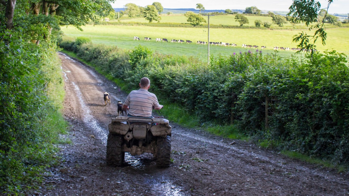 It should make crucial tasks simpler and more affordable.