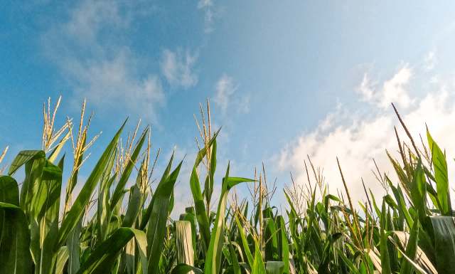 Researchers are optimistic about its applications.