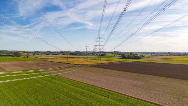 "We presented about five or six research models that they could adopt."