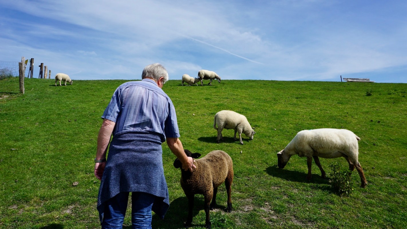 It may be comforting for some farmers.