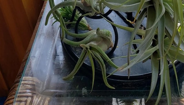 "What a fantastic idea!"