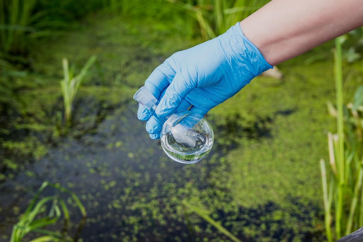 Communities rely on lakes for recreation, food, water, and business operations.