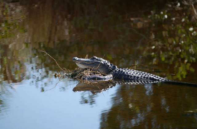 "They shouldn't be on the river."