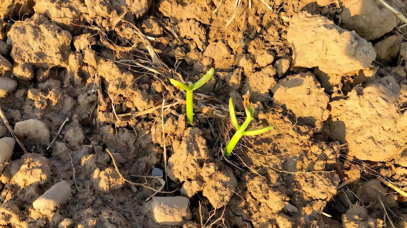 "We need to supplement these new solutions that we have with other strategies."