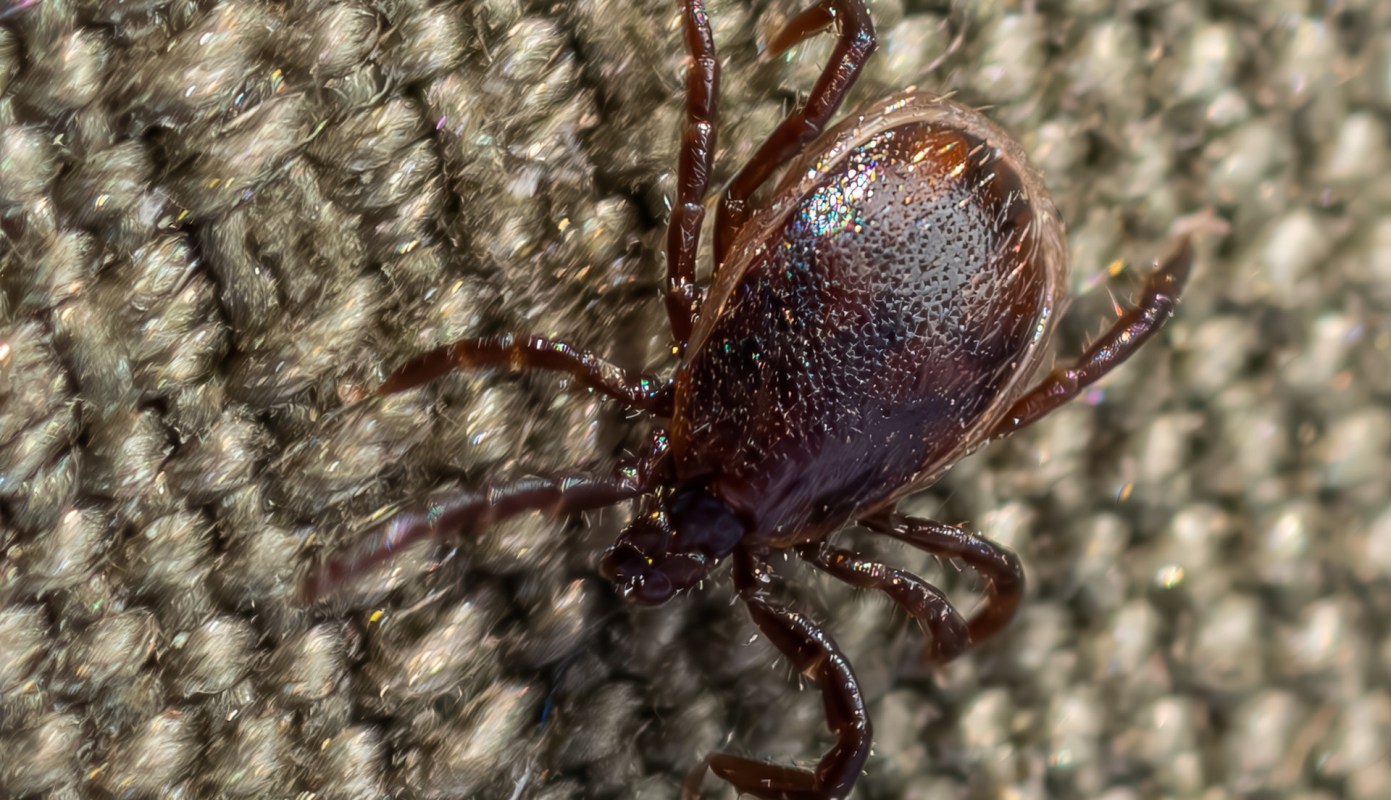 One of the best things you can do is know what the symptoms are.