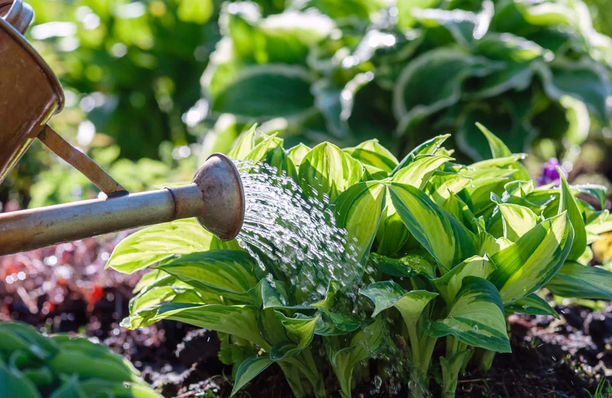 "Can’t wait to try this."