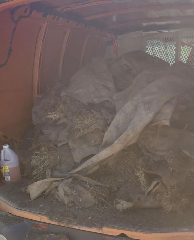 "There is no reason to use it."