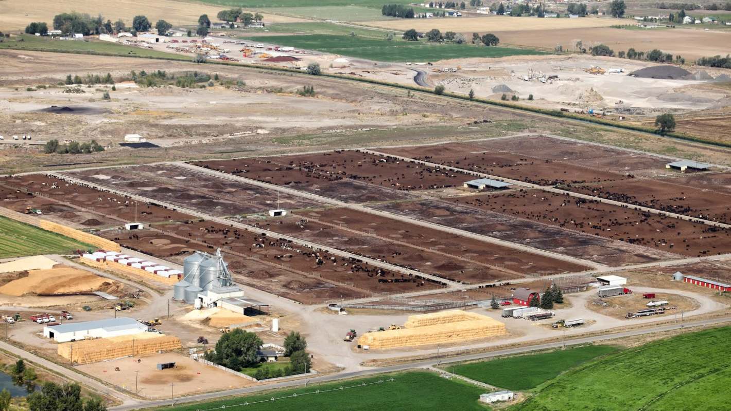 "There are really no safe levels of it."