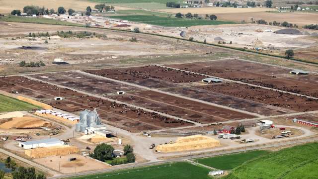 "There are really no safe levels of it."