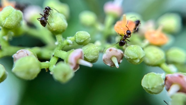 "Thank you for sharing."