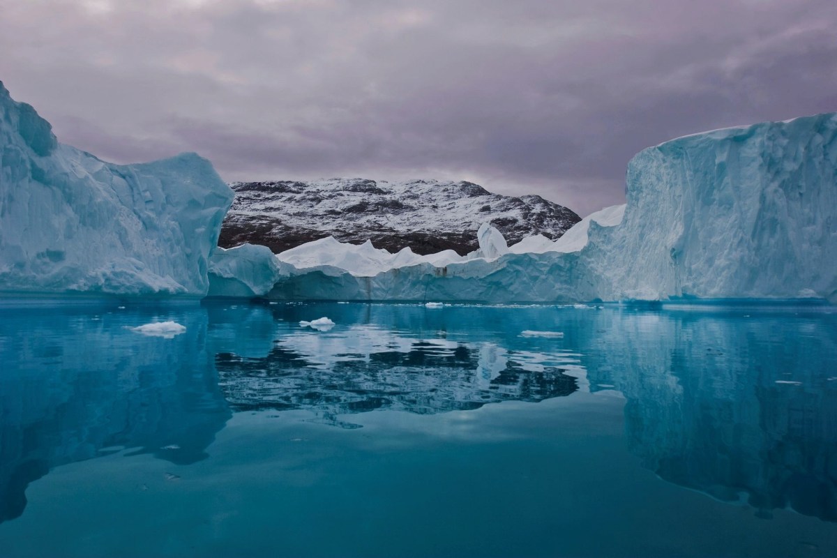 Beyond species survival, this disruption could ripple outward.