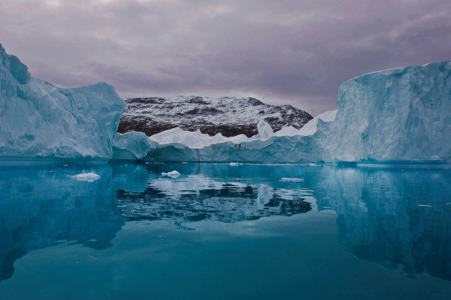 Beyond species survival, this disruption could ripple outward.