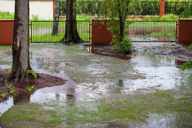 It can help prevent numerous property issues.