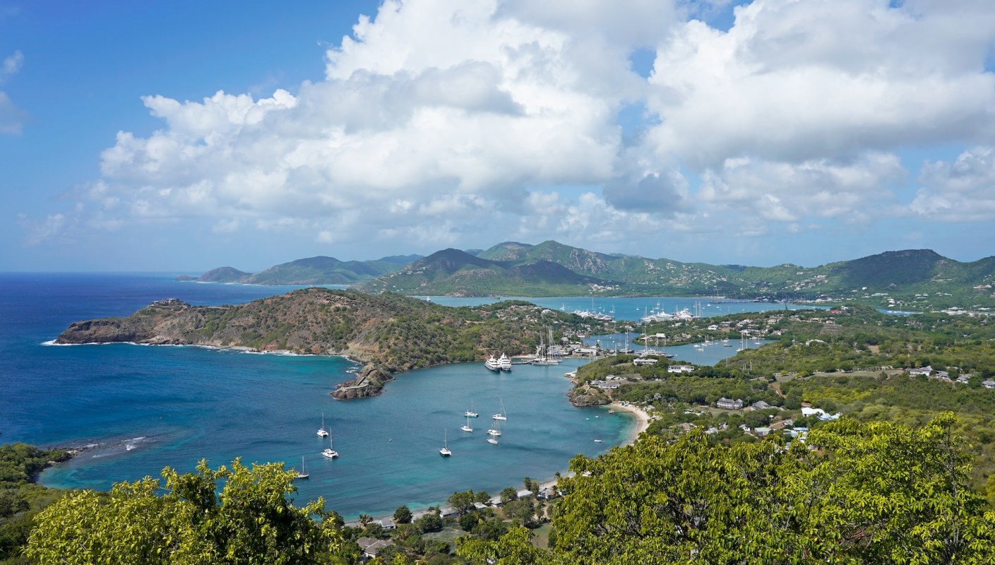 Underwater camera systems can help experts learn more about species without disturbing them or their habitats.