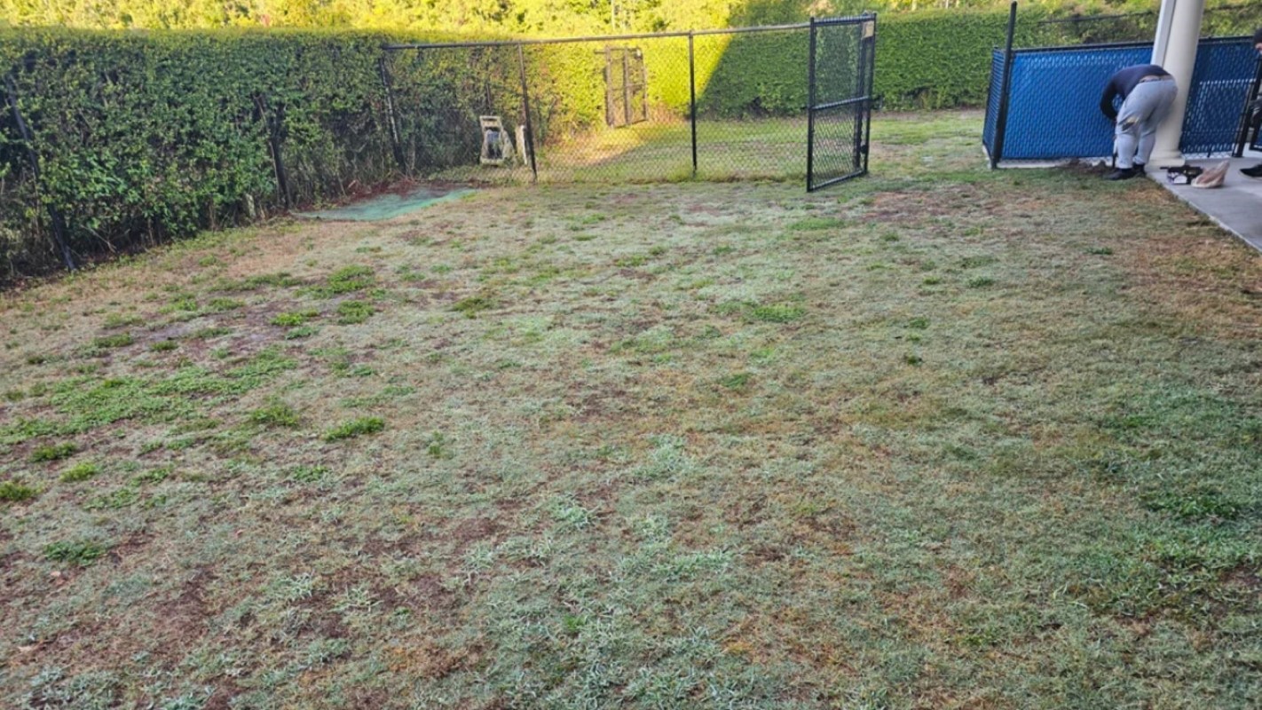 "What's not to love!"