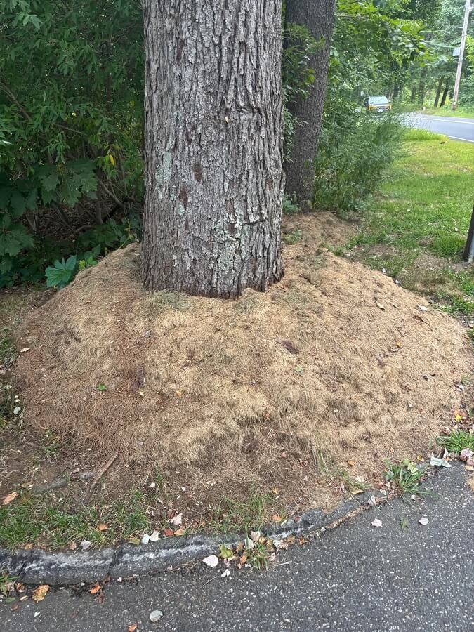 It could have a domino effect.