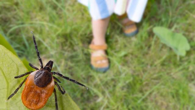 "It is important that health care providers are aware it is here."