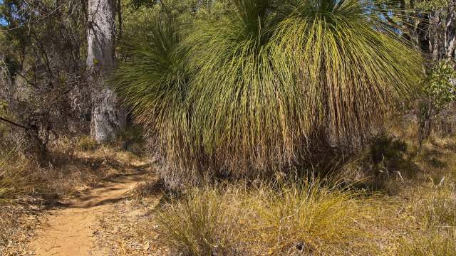 "It's what we've been working towards."