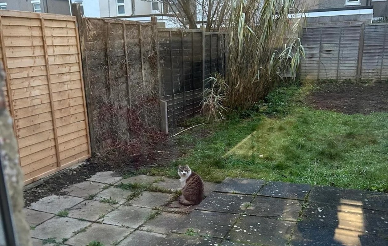 "Ugly duckling to gorgeous swan!"