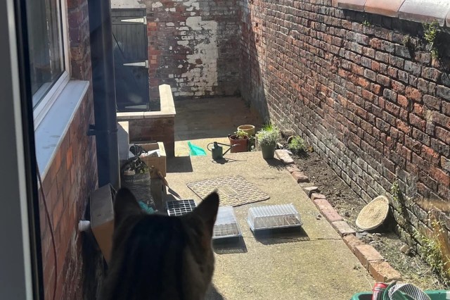 "It’s nowhere near finished yet, but I’m so happy with the progress so far."