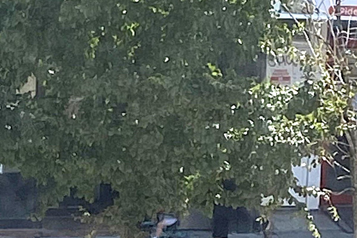 "This is annoyingly common."