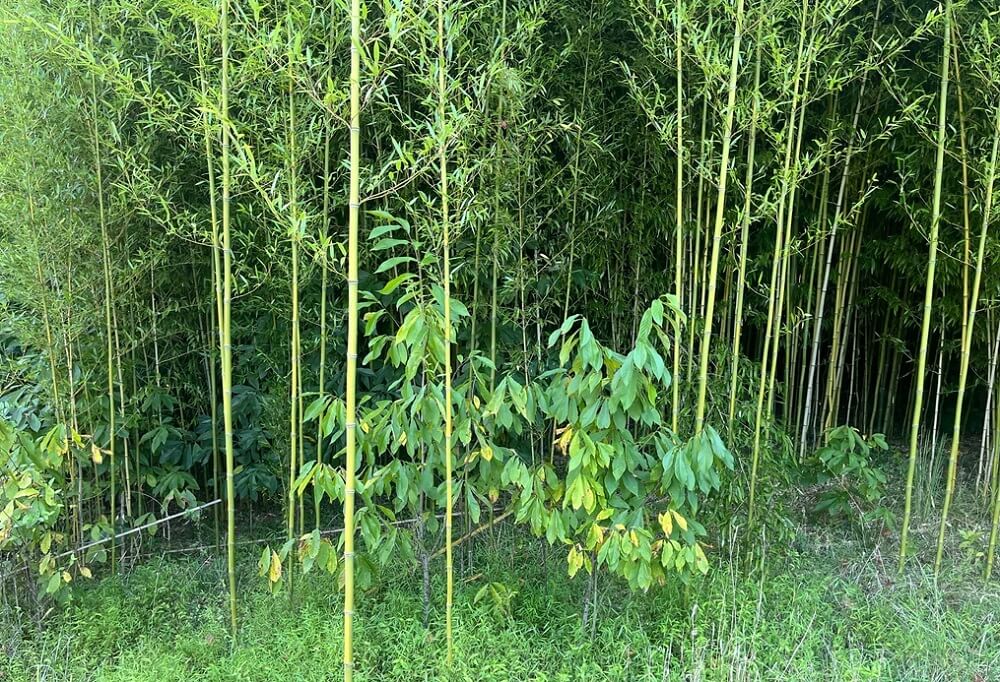 "Wish you well on your fight."