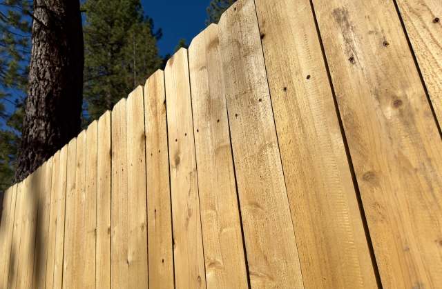 "It will literally take over."