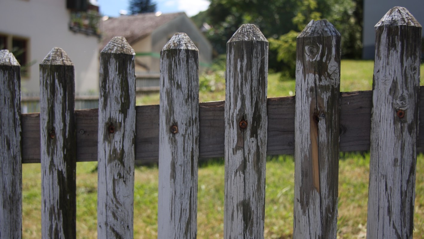 "Should I start a coalition with my neighbors?"