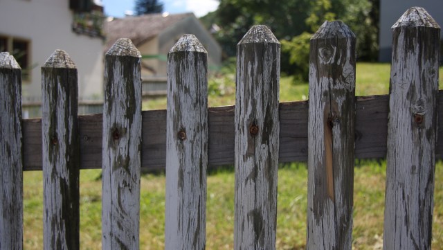 "Should I start a coalition with my neighbors?"