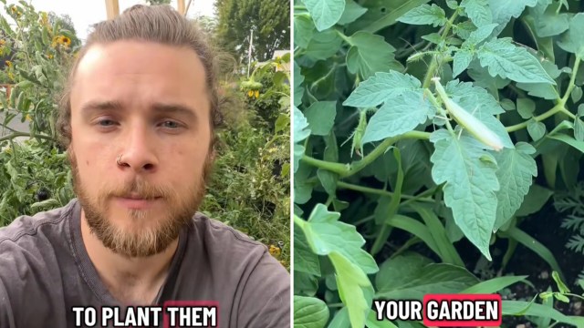 "I do it for a couple reasons."