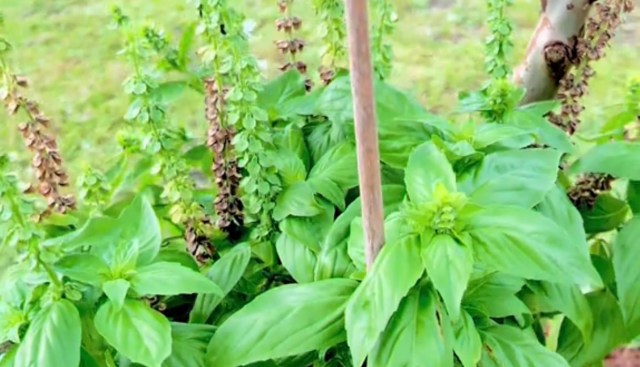 "I learn so much from you!"