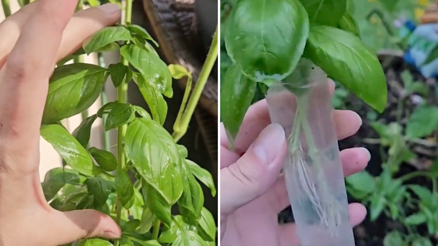 "Thank you so much."