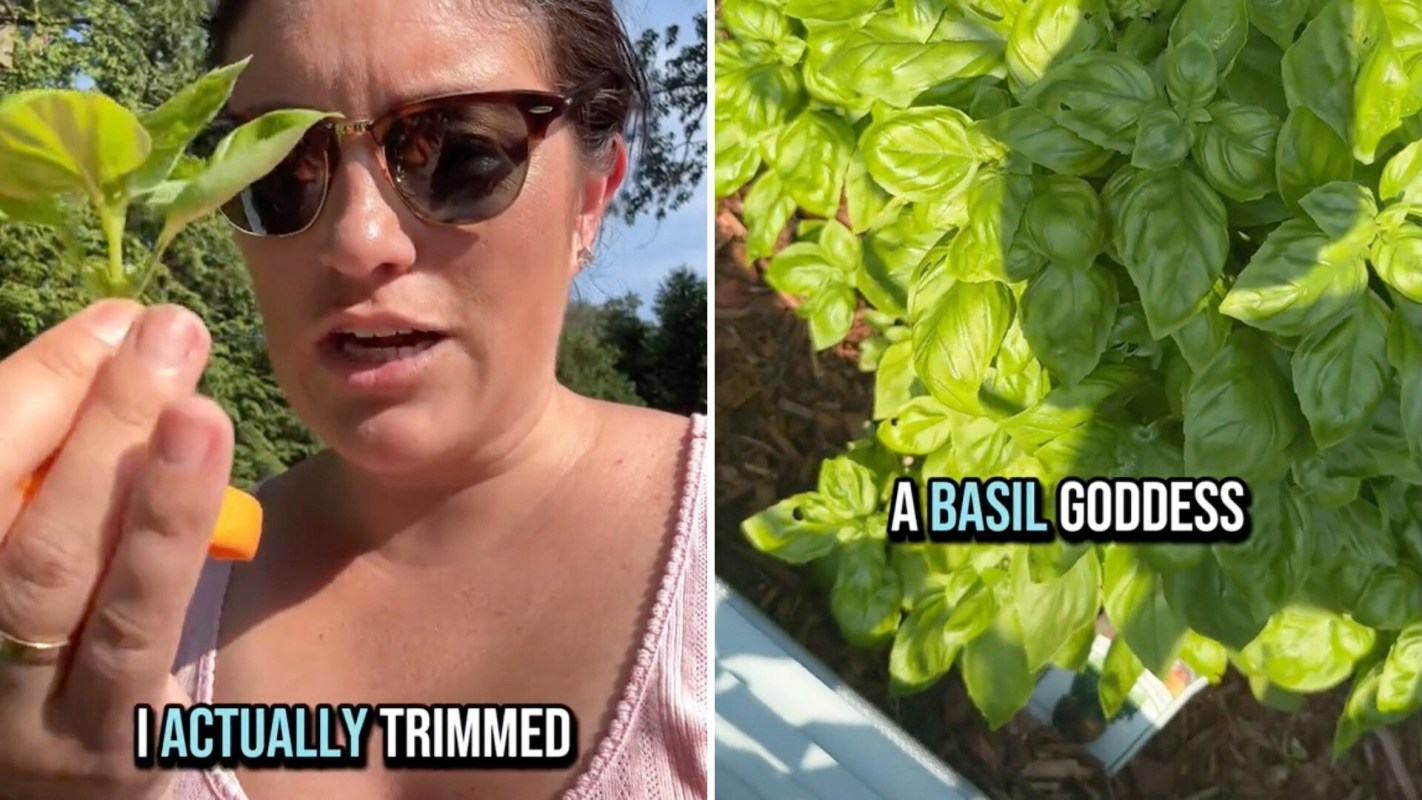 "Do this and it will continue to spread and grow."