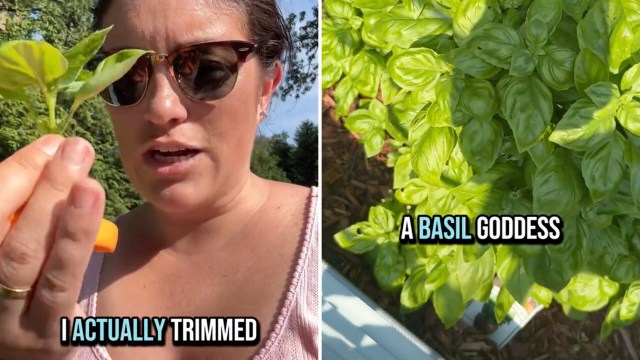 "Do this and it will continue to spread and grow."