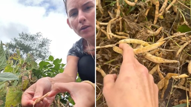 "Satisfying and healthy!"