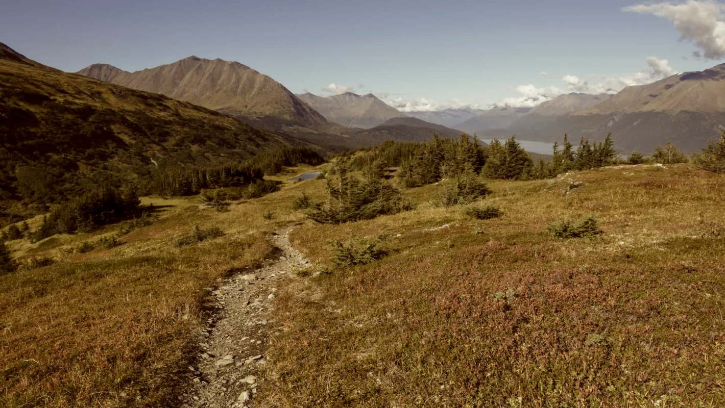 There are specific precautions you can take.