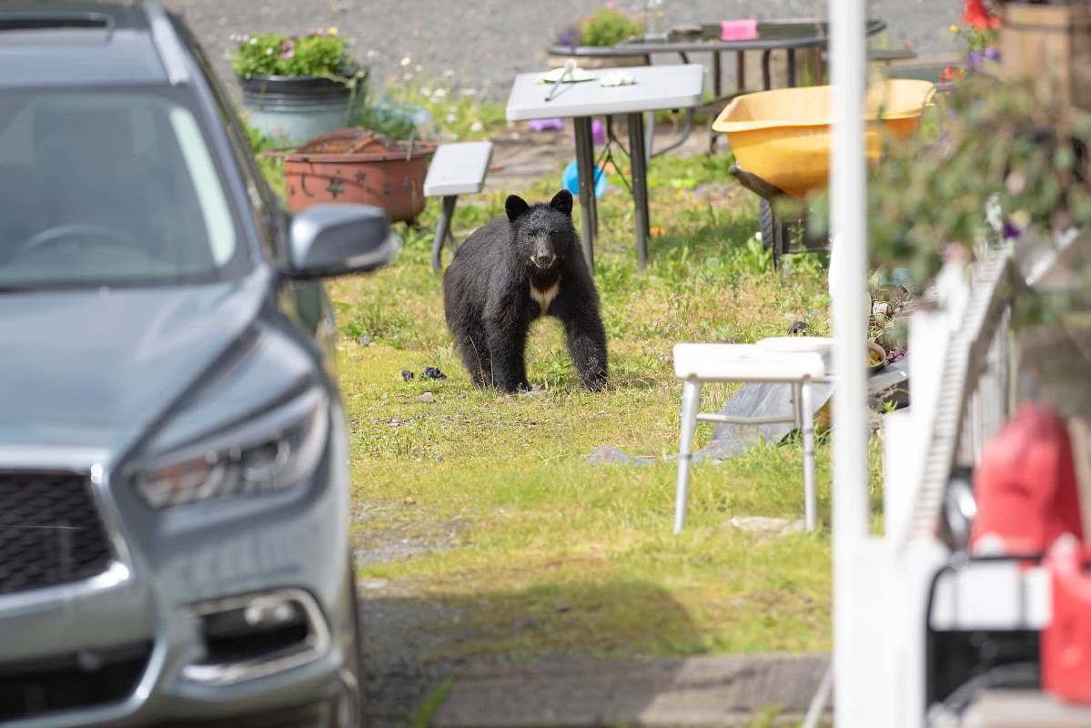 "Seriously, I would've never known he was ever in the car."