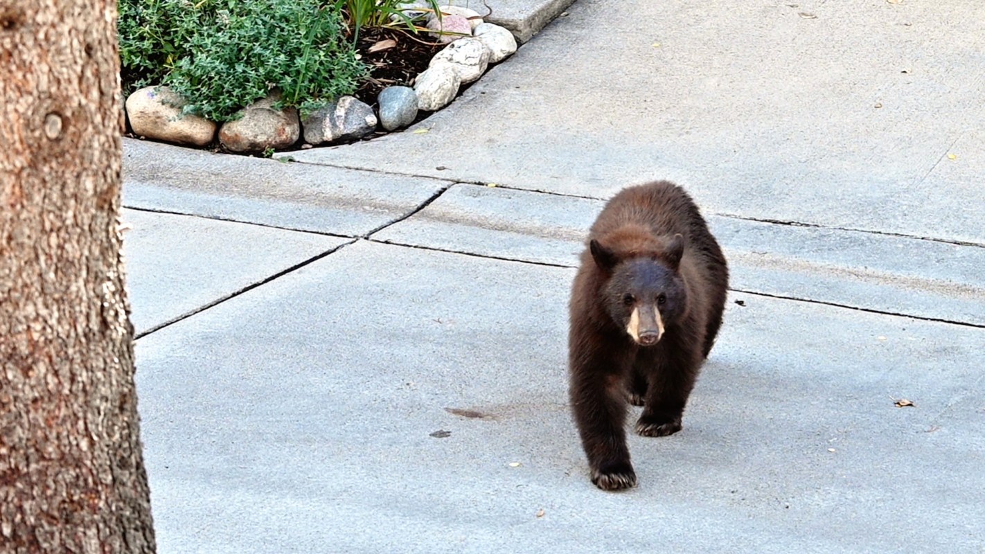 "There was barely any cleanup."