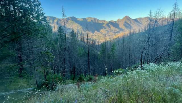 "I don't want to run them off."