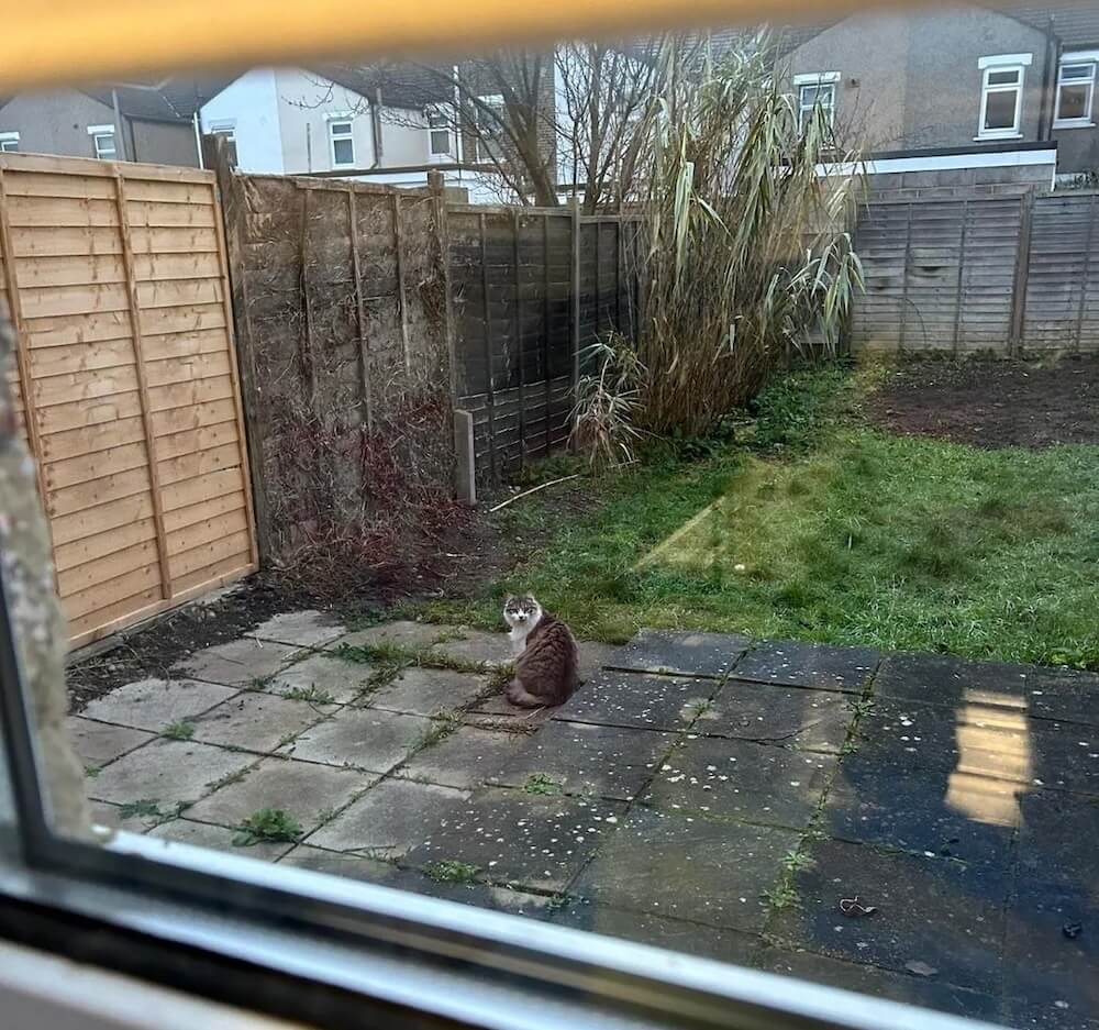 "Ugly duckling to gorgeous swan!"