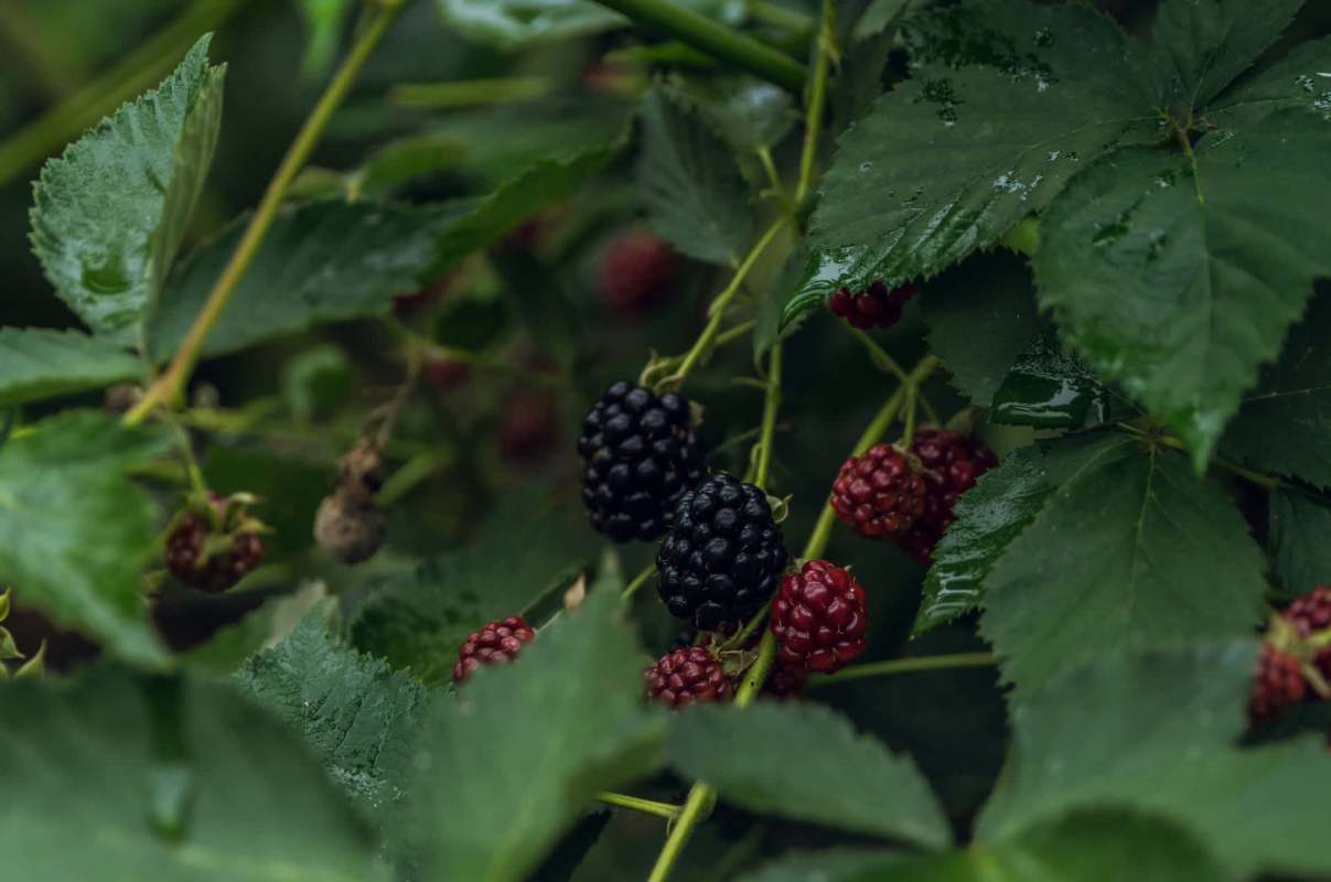 &quot;So smart.&quot;