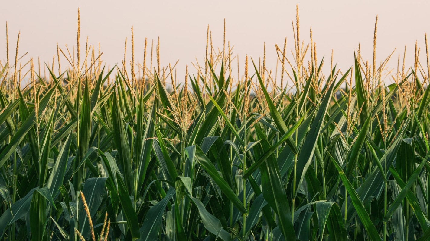 "Turning what was once considered difficult into routine."