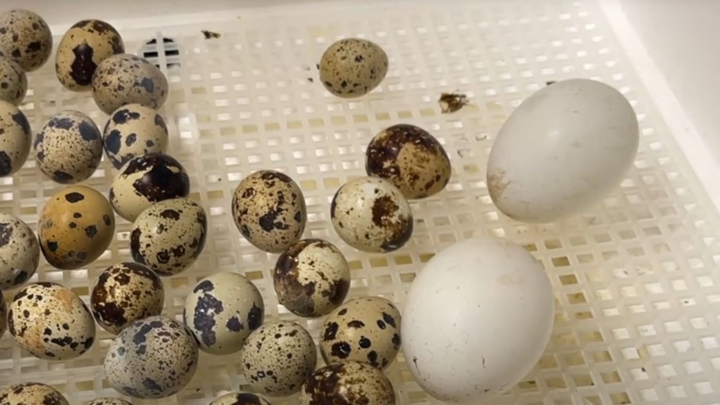 "It’s only the right thing to do."